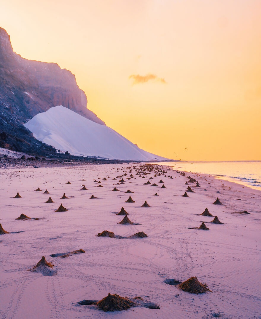 Socotra  ảnh 8 Socotra anh 8