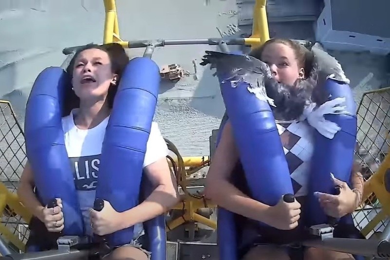 Dang choi tro mao hiem, du khach bi chim lao vao mat hinh anh