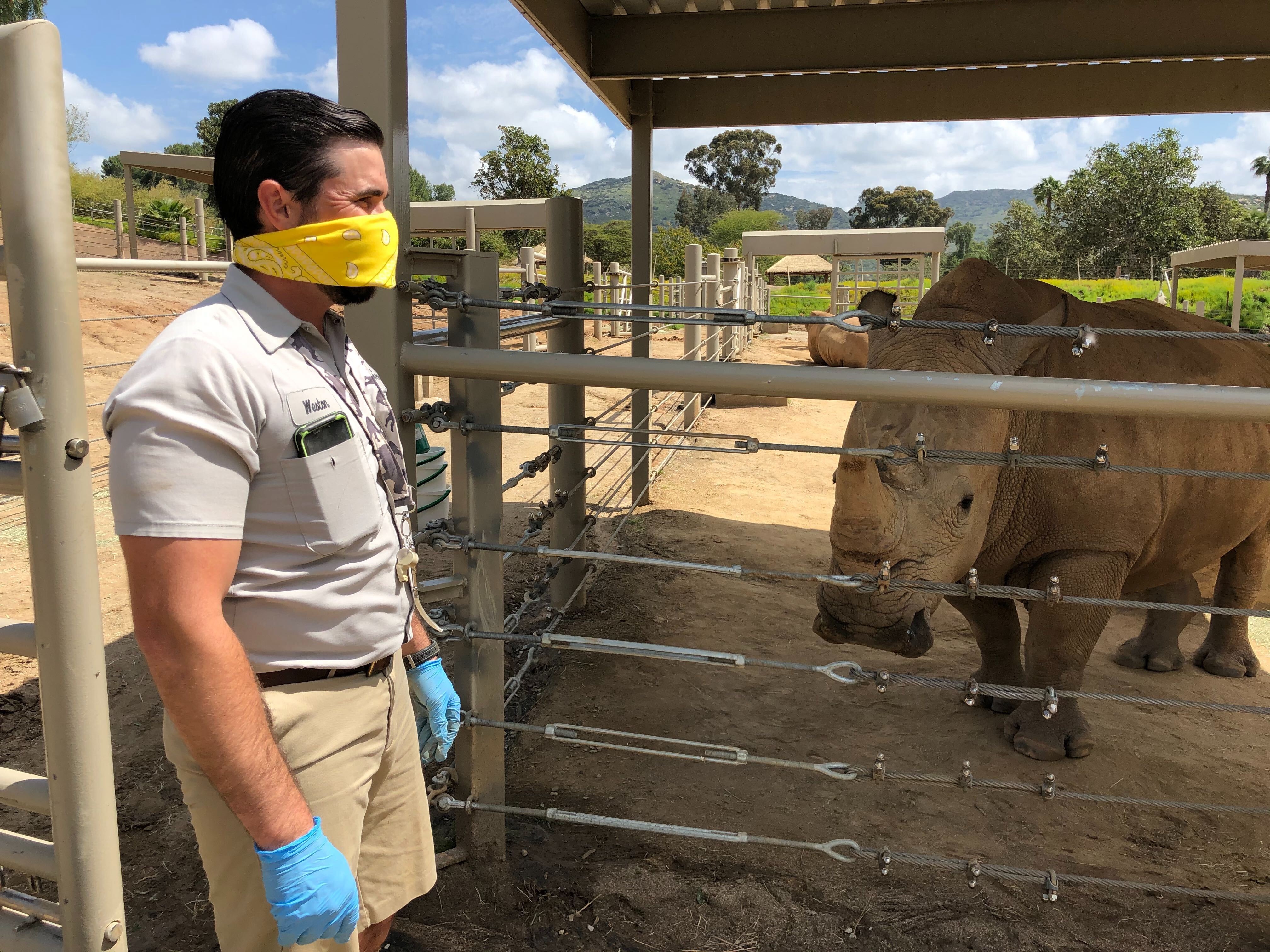 Dong vat nhiem Covid-19 anh 4