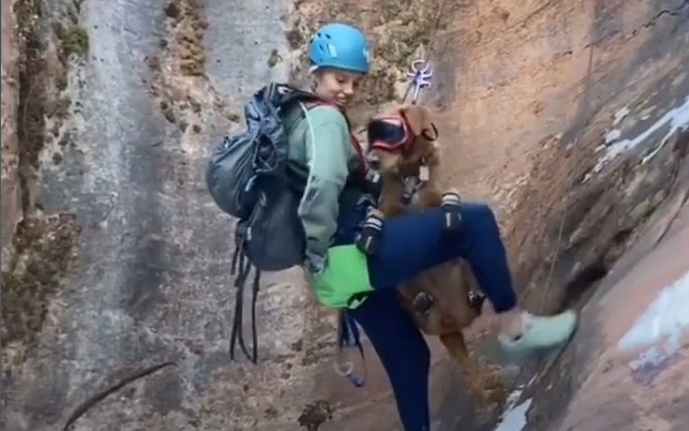 Chu cho co so thich leo nui mao hiem cung chu hinh anh