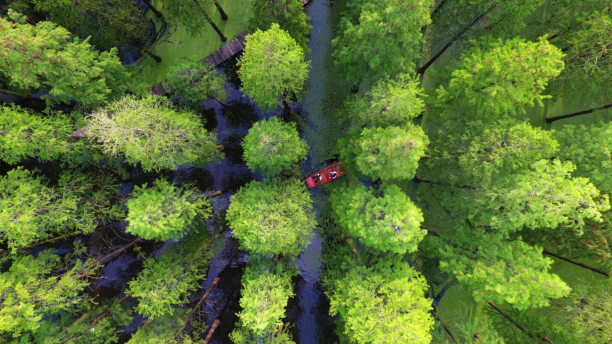 Rung thuy tung Lu Duong anh 5