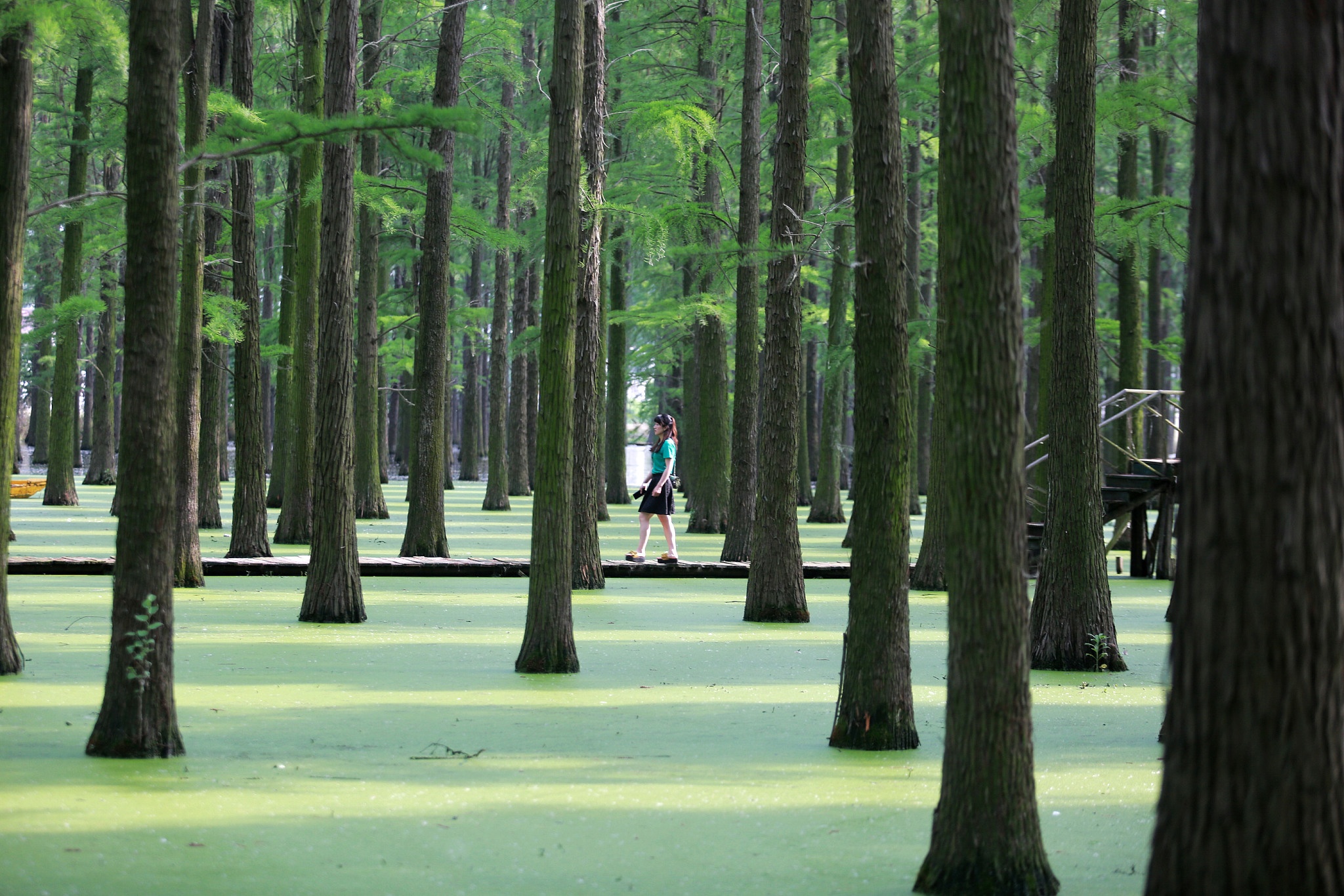 Rung thuy tung Lu Duong anh 2