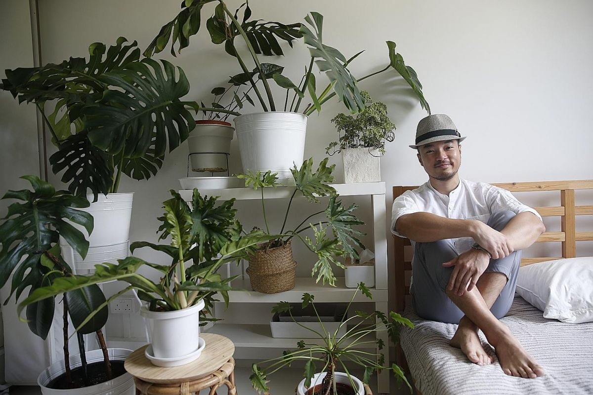 Singapore ảnh 2 Singapore anh 2