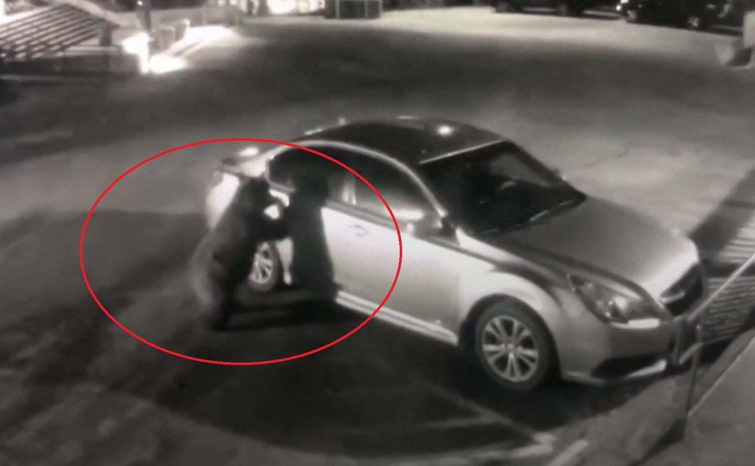 Gau mo cua dot nhap vao oto trong bai gui xe o My hinh anh