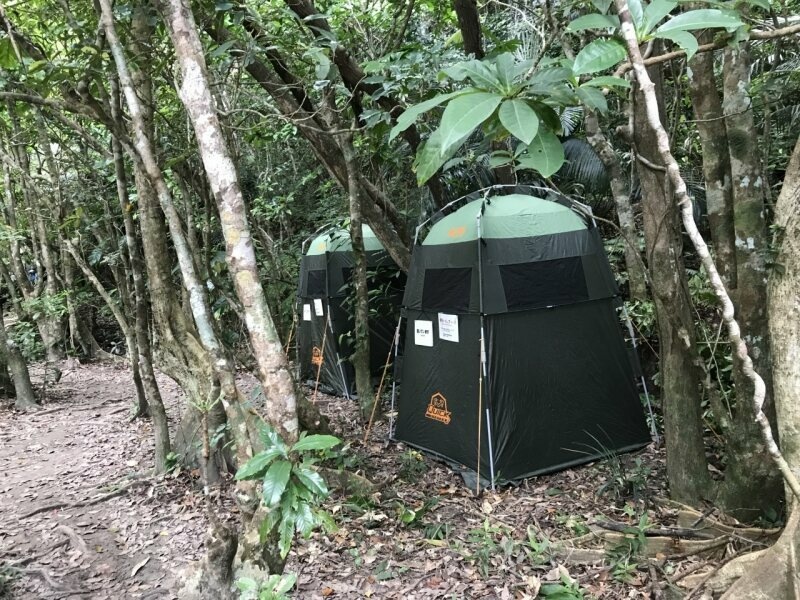 Đảo Iriomote ảnh 5 Dao Iriomote anh 5