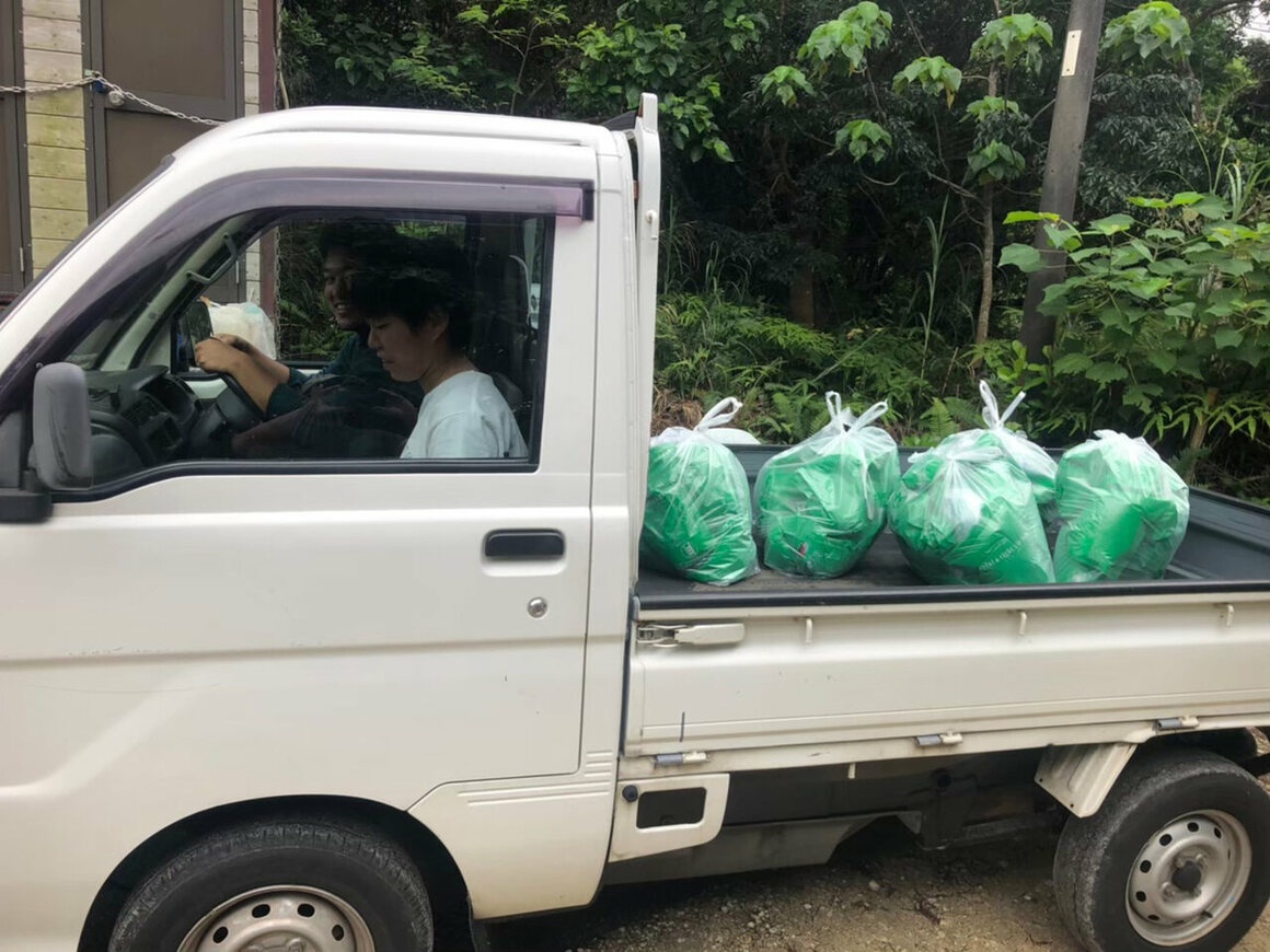 Đảo Iriomote ảnh 6 Dao Iriomote anh 6