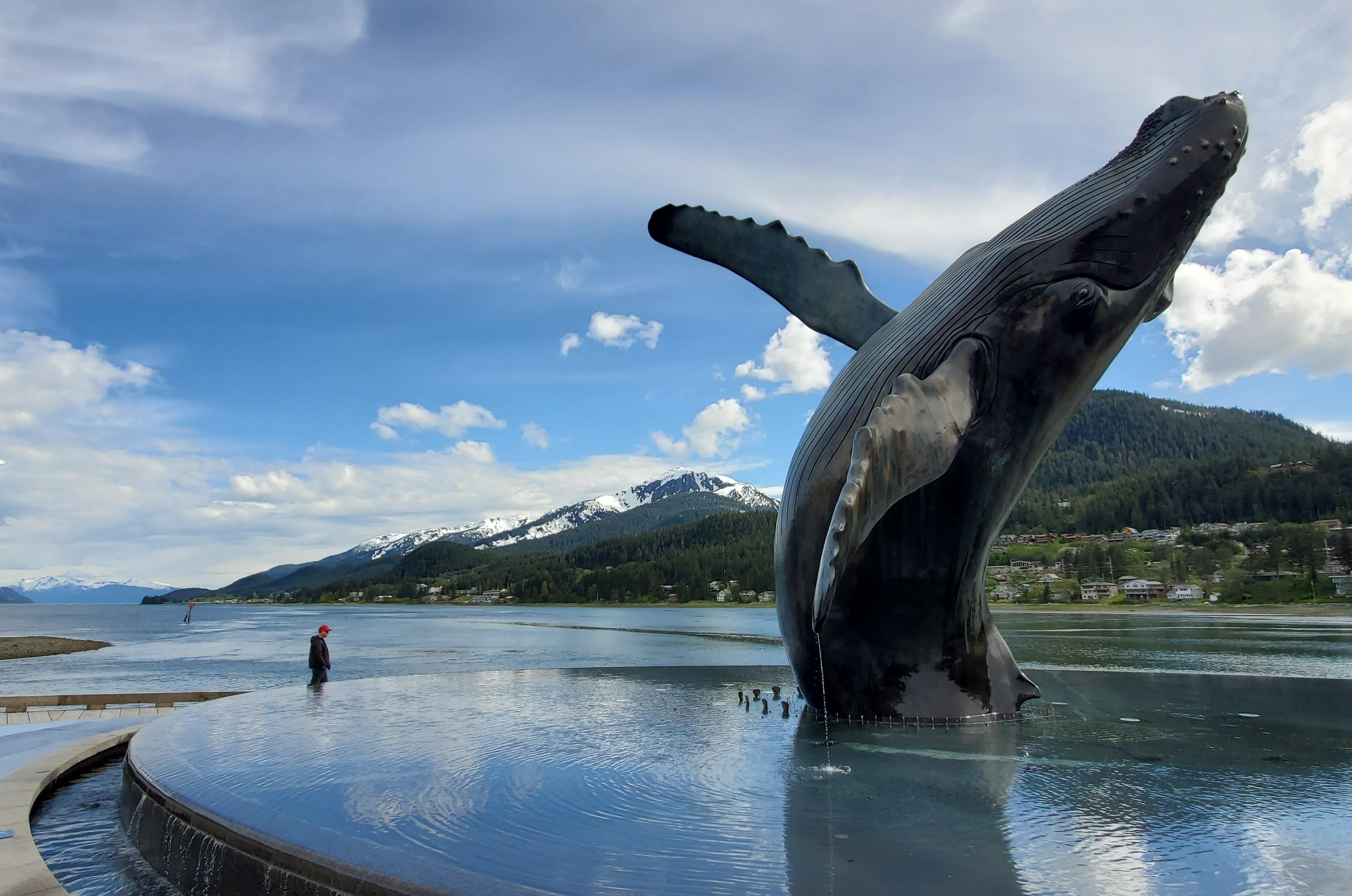 Vang du khach, ca voi Alaska hanh phuc hon bao gio het hinh anh