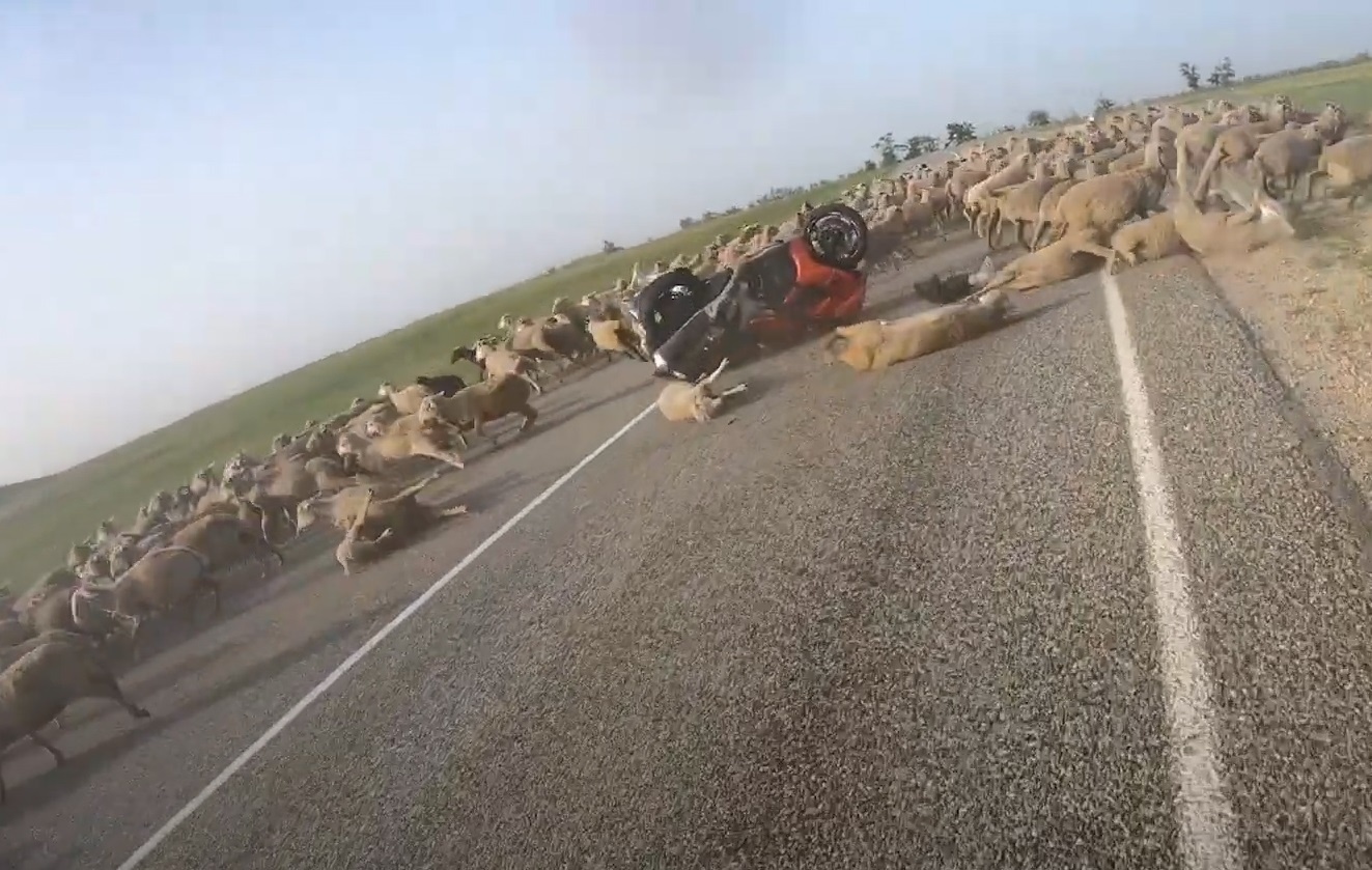 Tay lai moto dam phai dan cuu chan ngang duong hinh anh