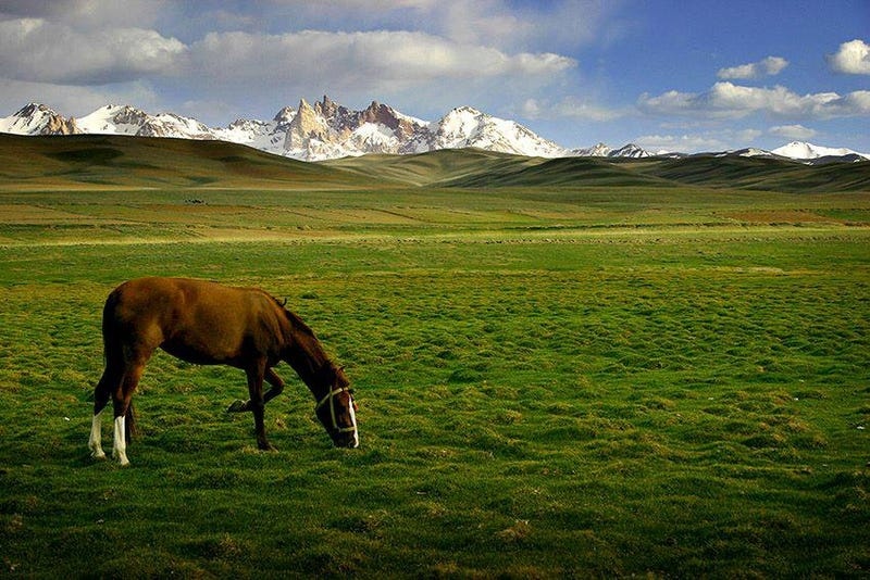 Afghanistan ảnh 2 Afghanistan anh 2