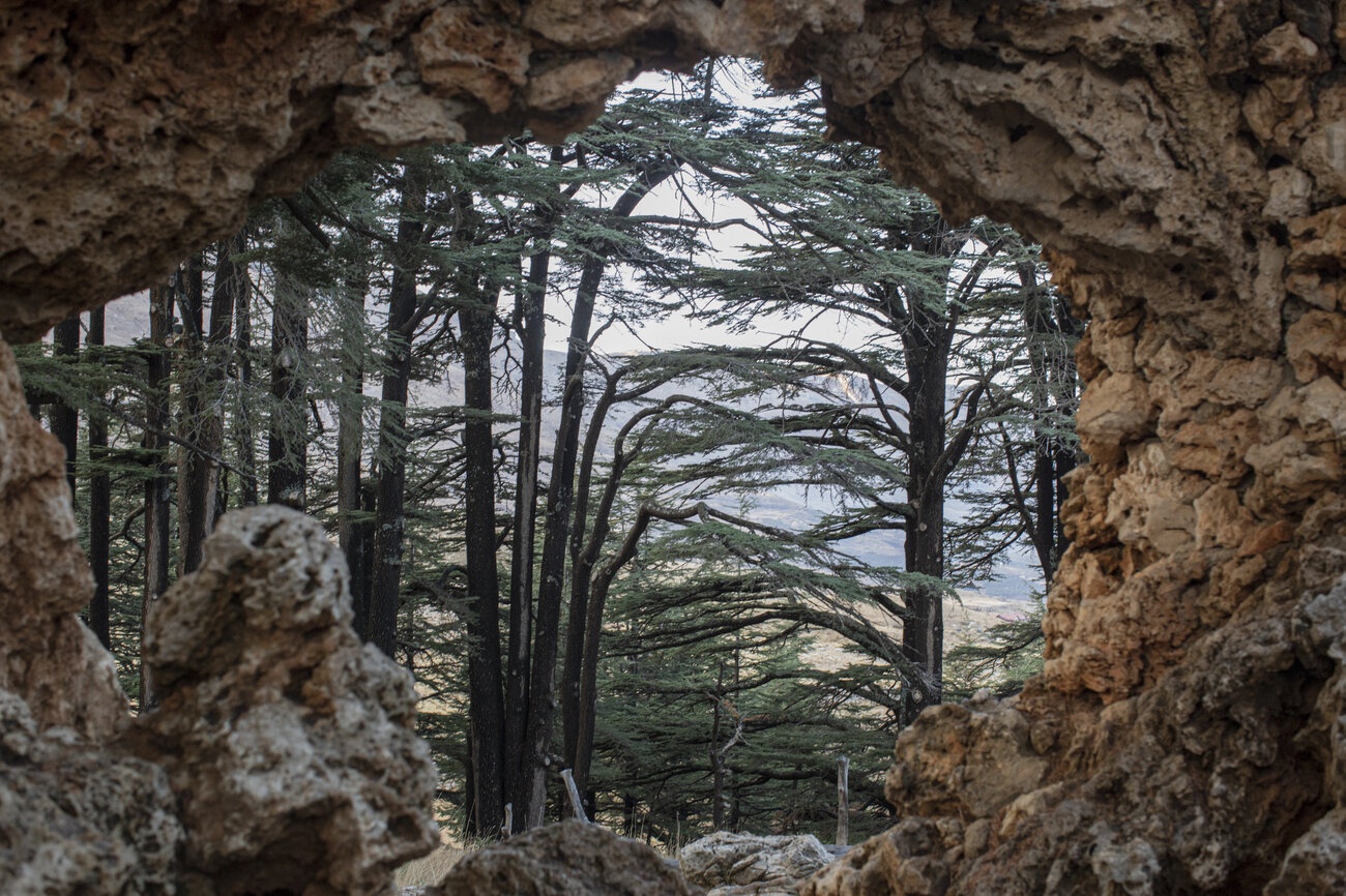 Lebanon ảnh 10 Lebanon anh 10