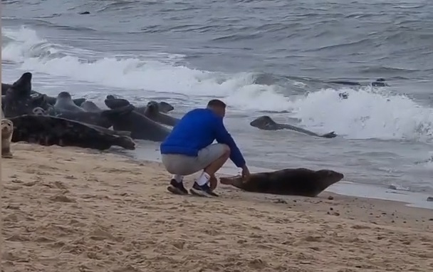 Du khach bi chi trich vi treu choc khien hai cau bo chay hinh anh