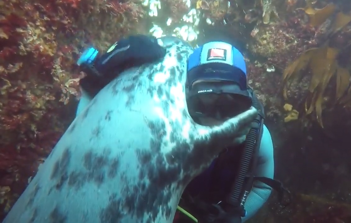 Hai cau hoang da om than mat tho lan hinh anh