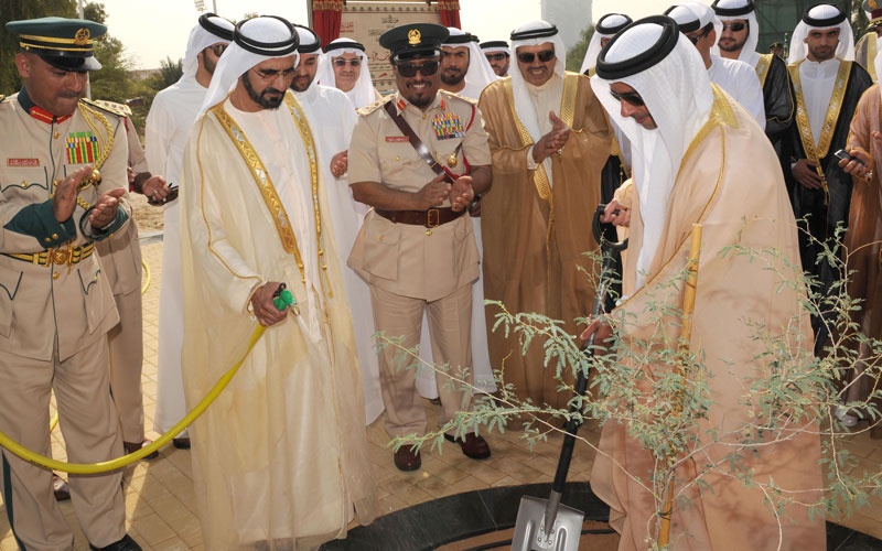 Du lịch Dubai ảnh 1 Du lich Dubai anh 1