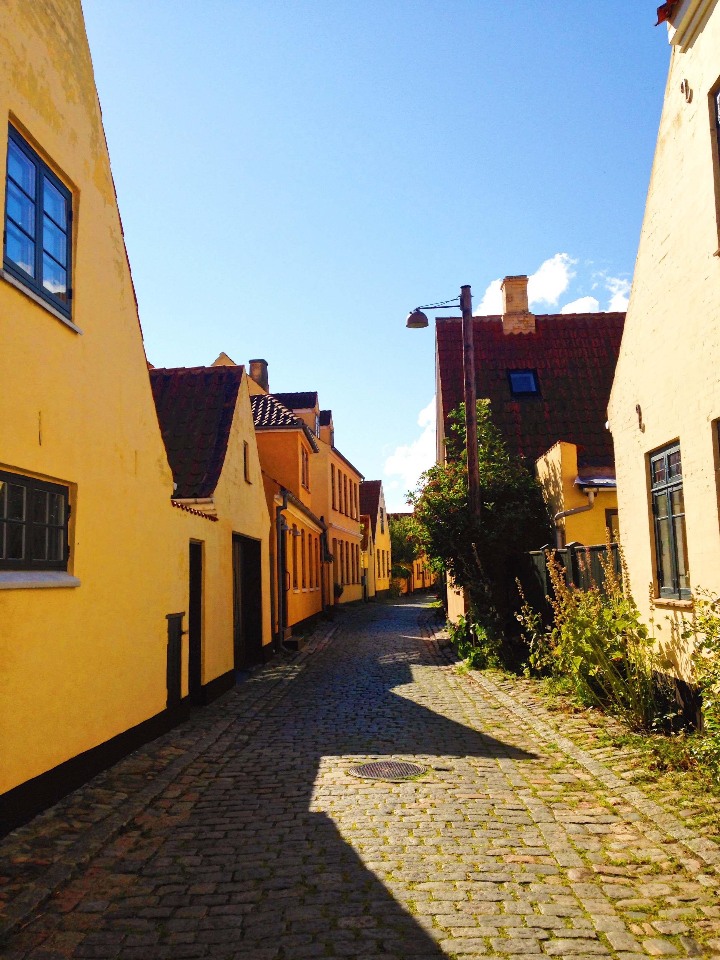 Quoc gia do bo han che Covid-19 anh 3