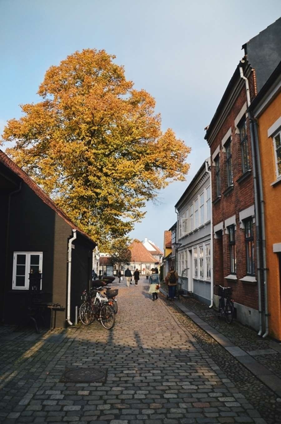 Quoc gia do bo han che Covid-19 anh 8