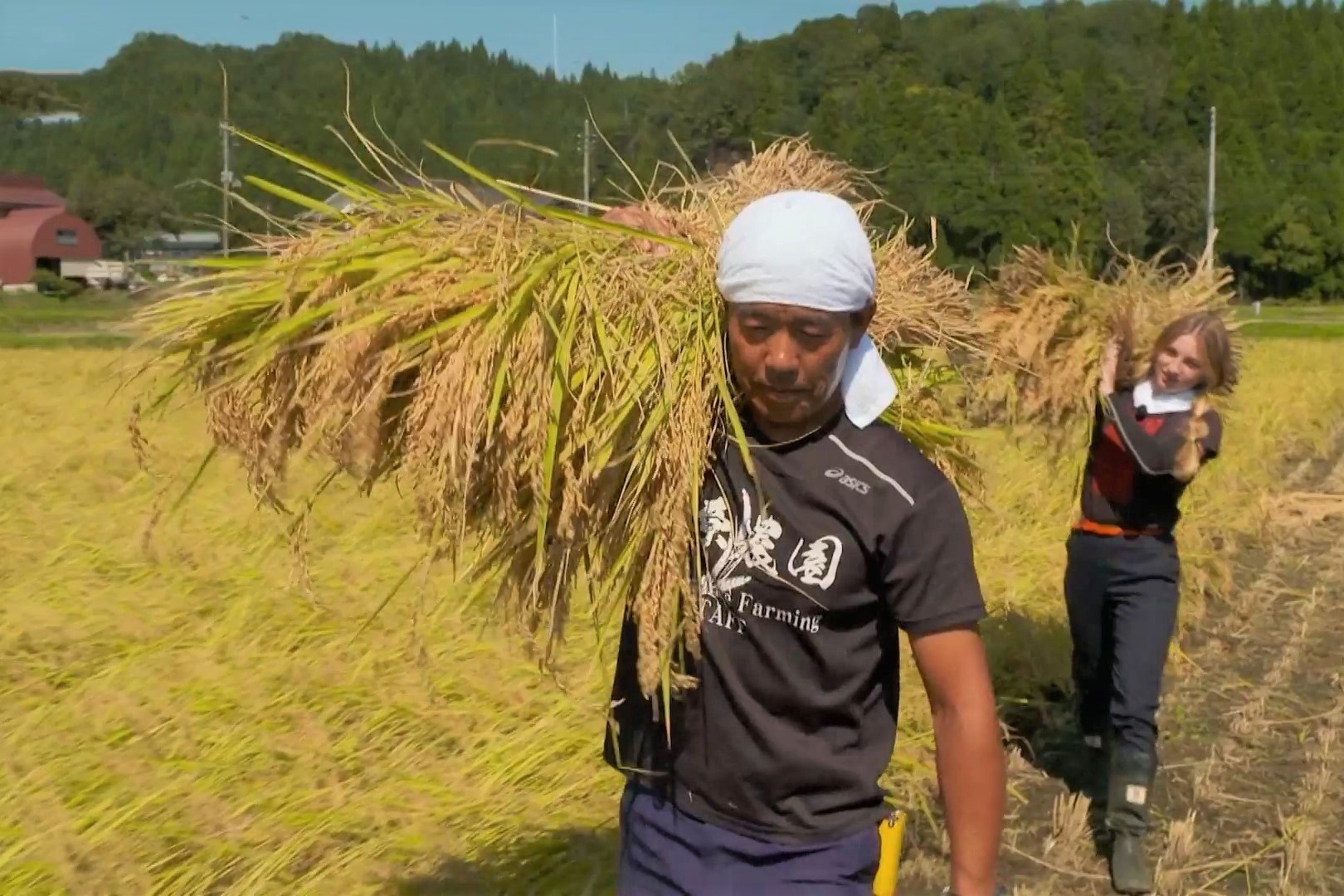 Cach san xuat hat gao ngon nhat Nhat Ban hinh anh