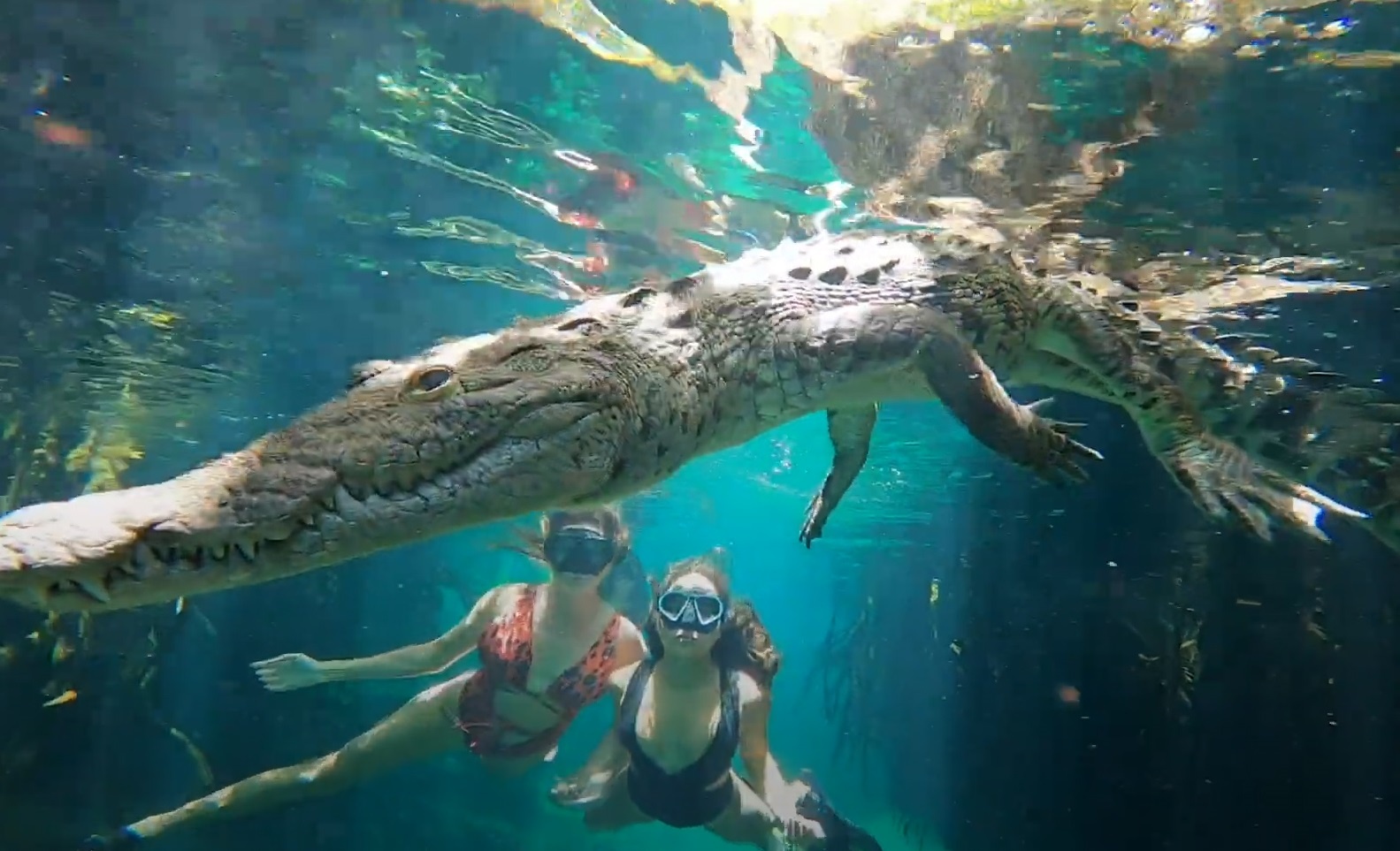 Boi cung ca sau khong lo o Mexico hinh anh