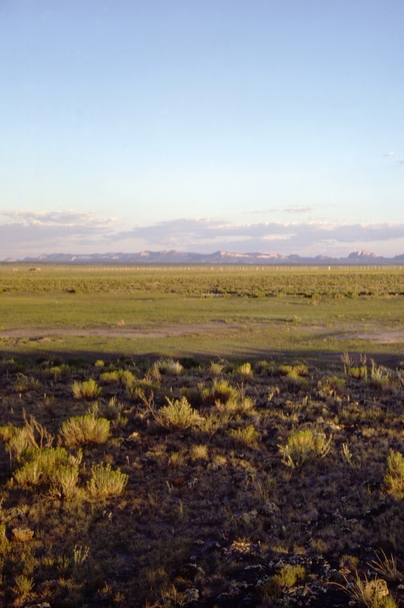 Cánh đồng set ảnh 5 Canh dong set anh 5