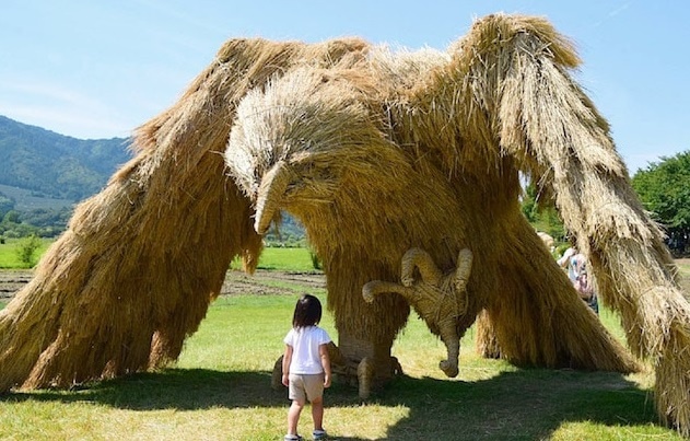 Cong trinh nghe thuat tu rom ra cua nguoi Nhat hinh anh
