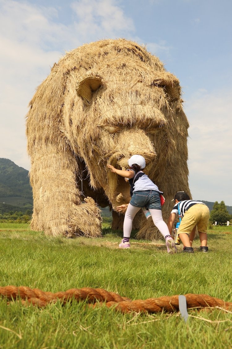 Le hoi rom o Nhat anh 2