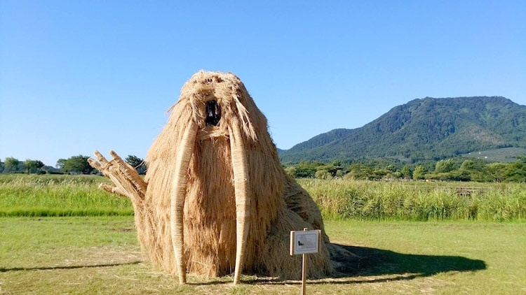 Le hoi rom o Nhat anh 3