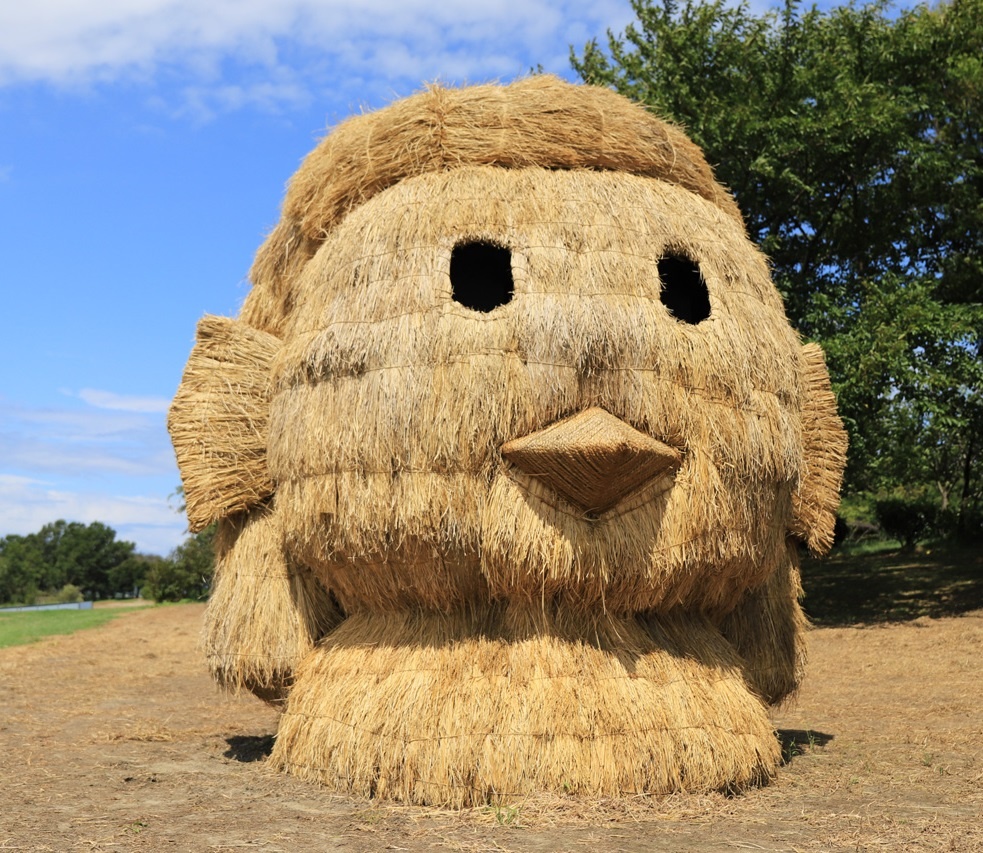 Lễ hội rơm ở Nhật ảnh 6 Le hoi rom o Nhat anh 6