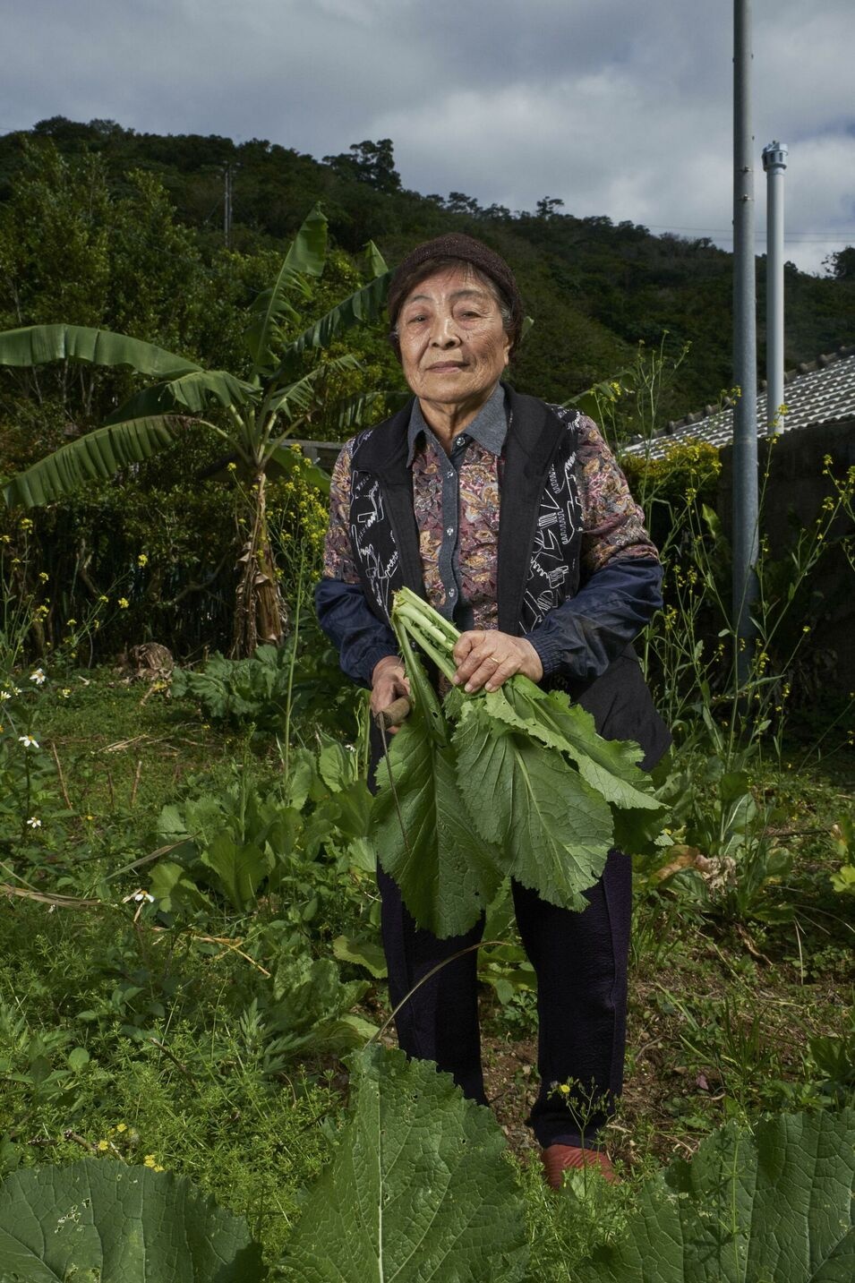 Làng trường thọ Nhật Bản ảnh 6 Lang truong tho Nhat Ban anh 6