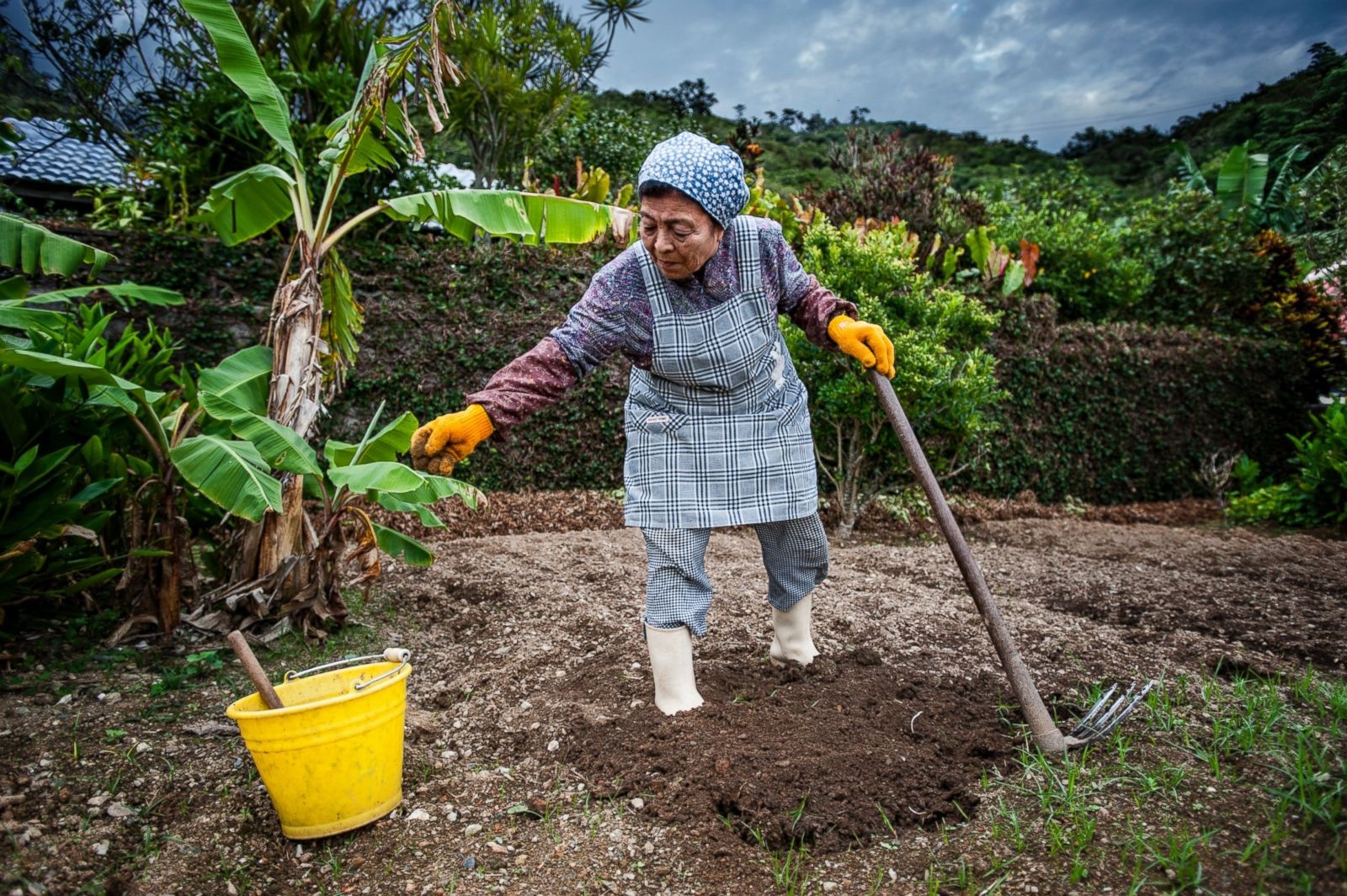 Làng trường thọ Nhật Bản ảnh 12 Lang truong tho Nhat Ban anh 12
