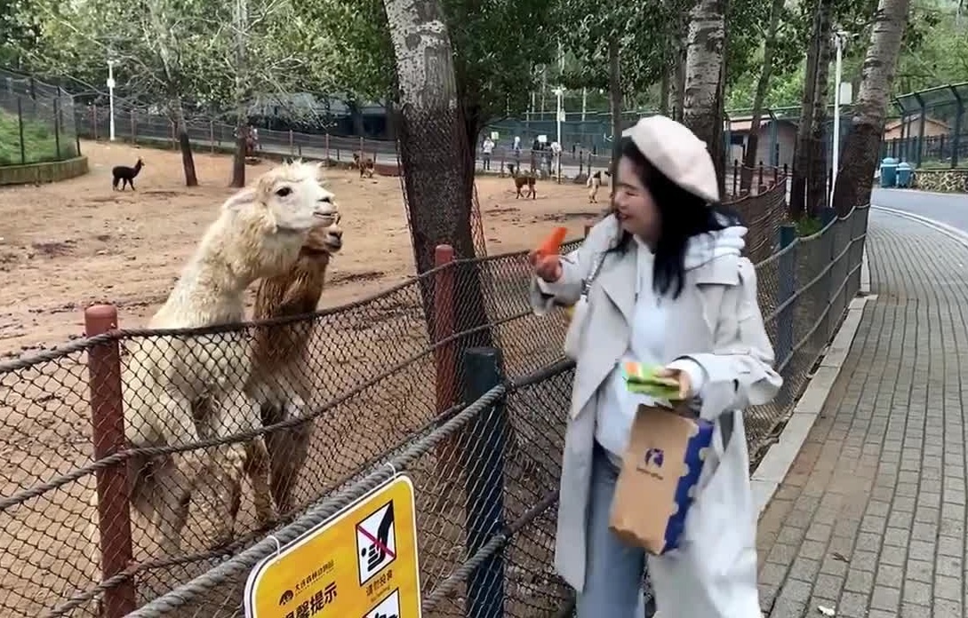 Lac da nho nuoc bot vao nu du khach o Trung Quoc hinh anh