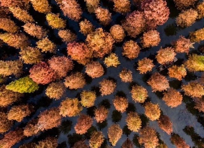 Mua thu la do anh 13