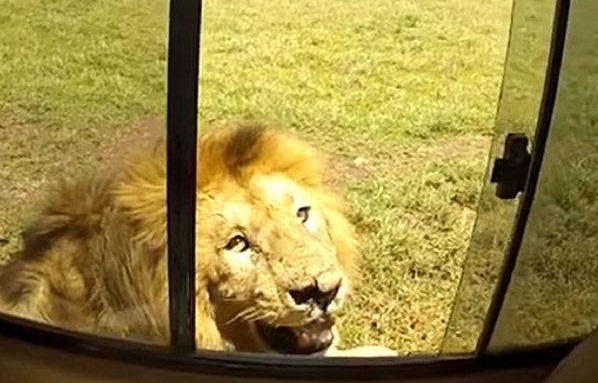 Du khach suyt bi tan cong khi co so vao su tu hinh anh