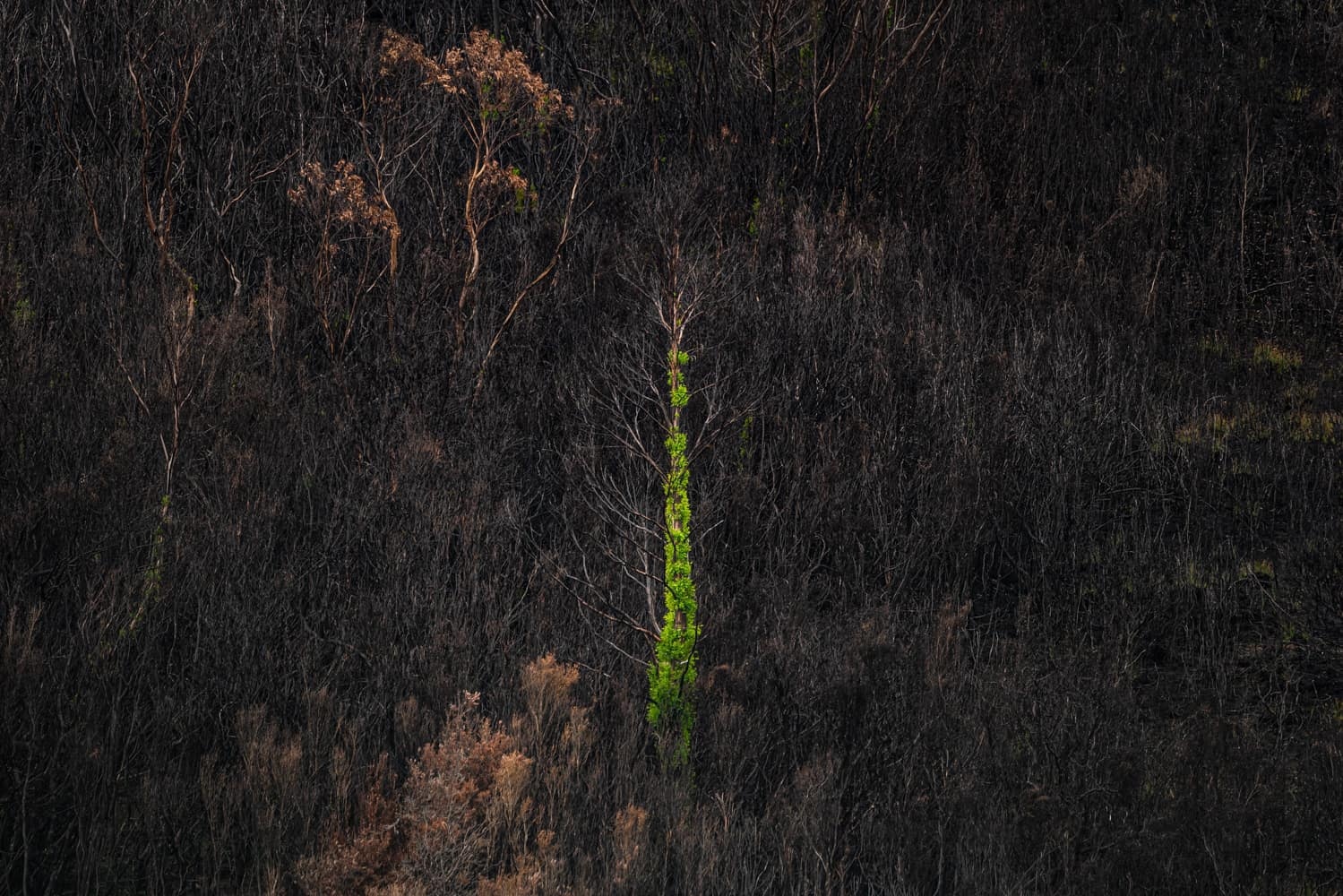 Tac pham doat giai nhiep anh anh 14