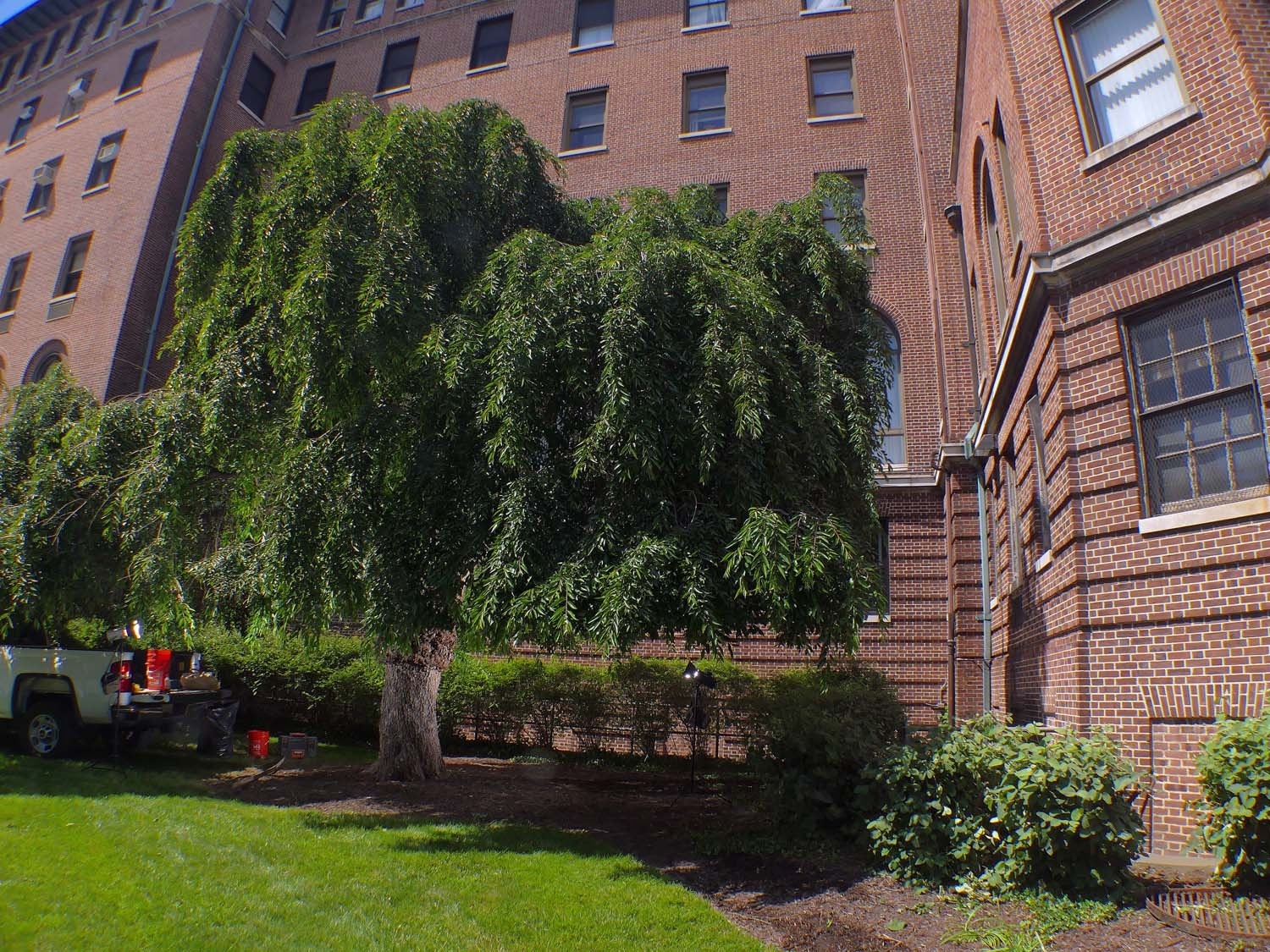 Cay anh dao cua trum mafia anh 5