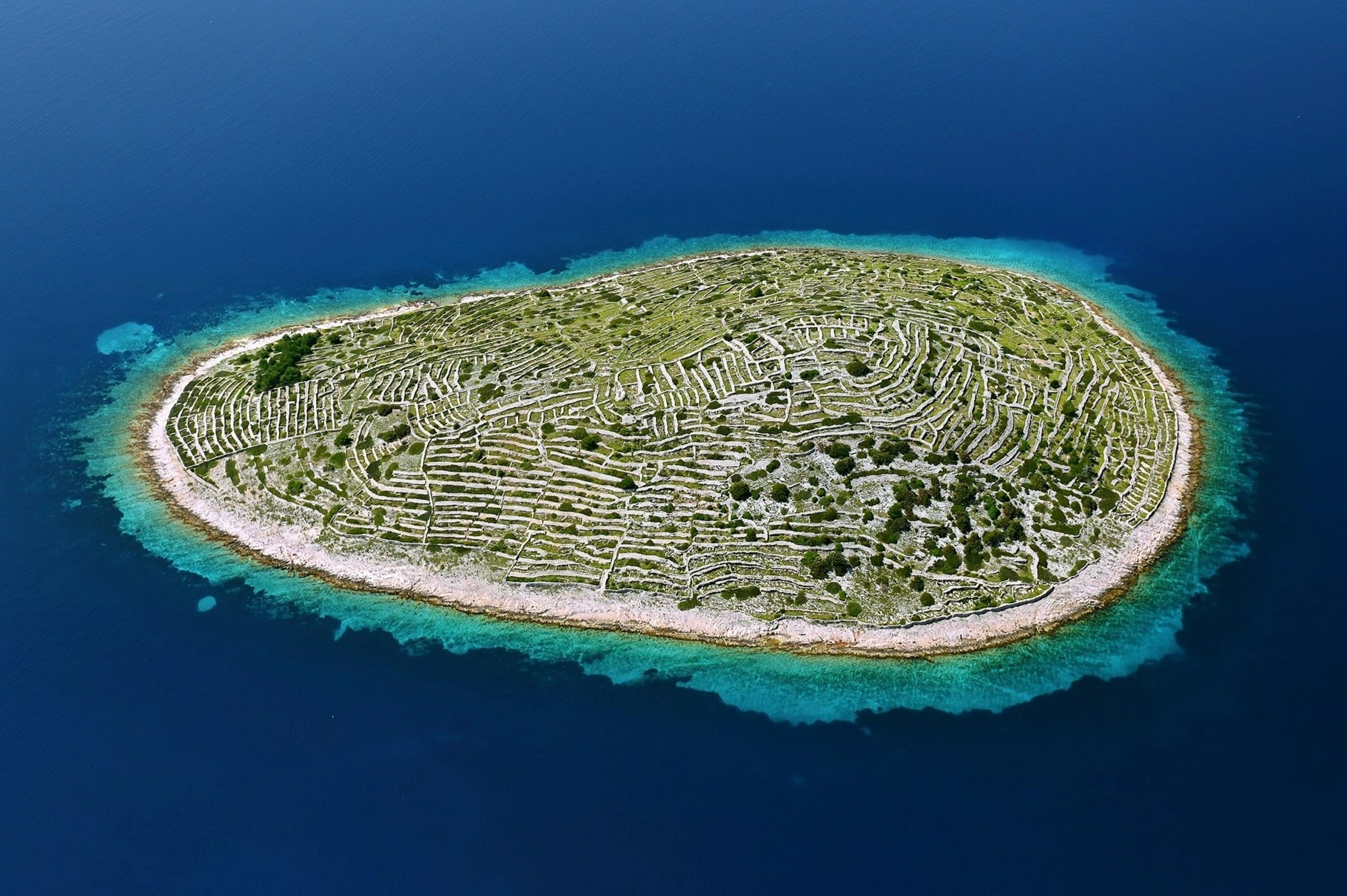 Hon dao hinh dau van tay hinh anh