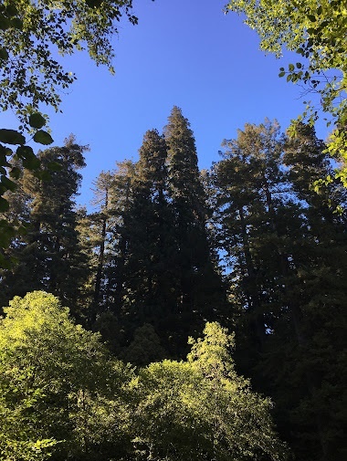 Hyperion ảnh 4 Hyperion anh 4