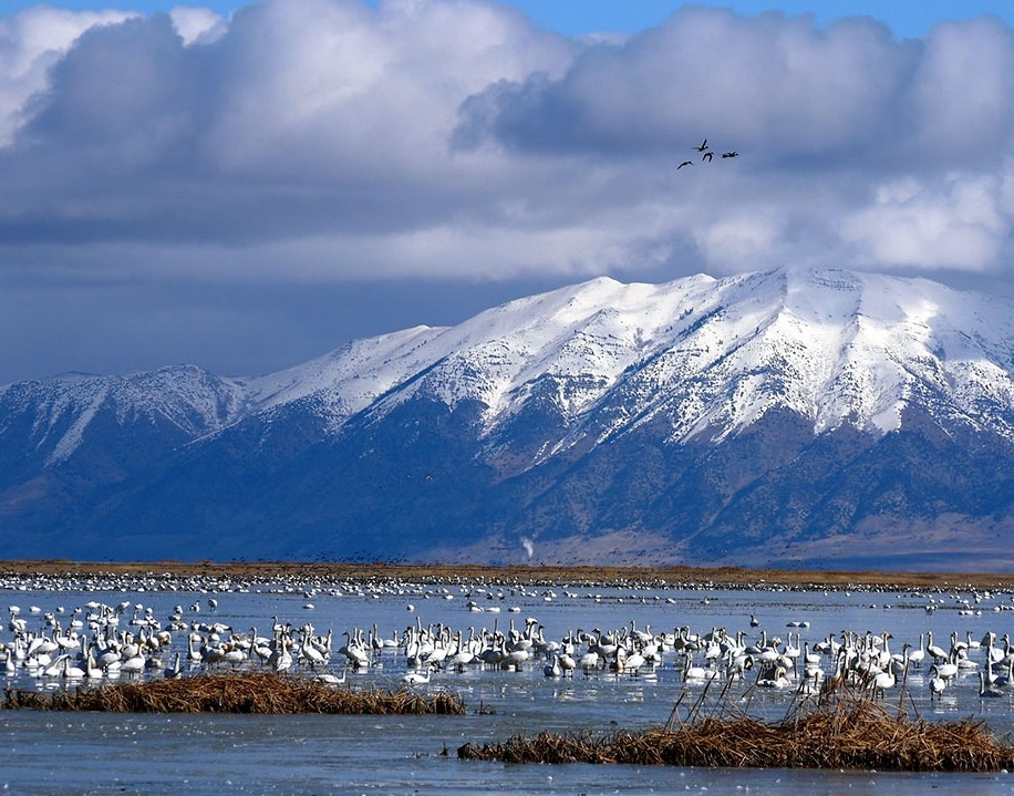 Du lịch Mỹ ảnh 9 Du lich My anh 9