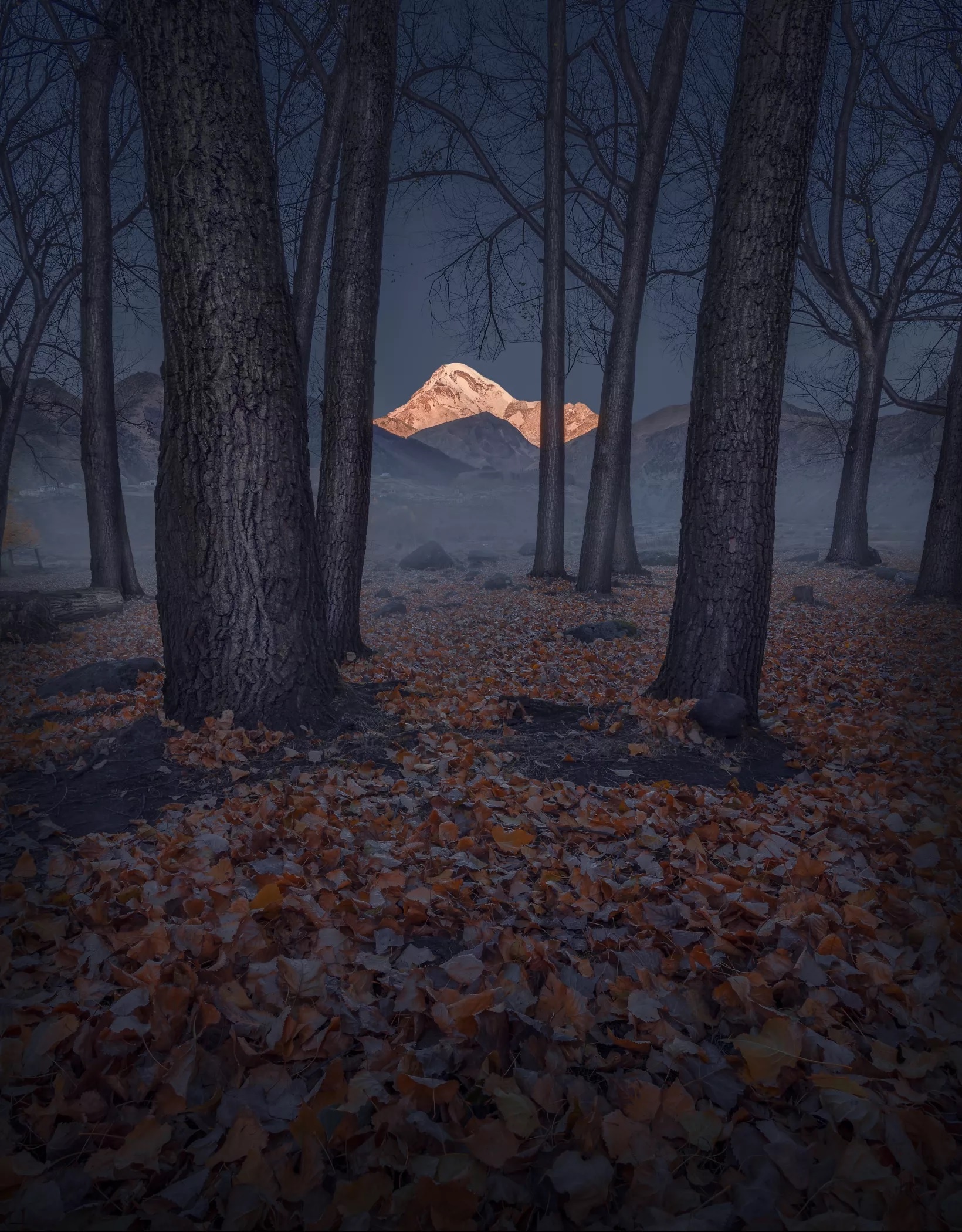 International Landscape Photographer of the Year ảnh 2 International Landscape Photographer of the Year anh 2