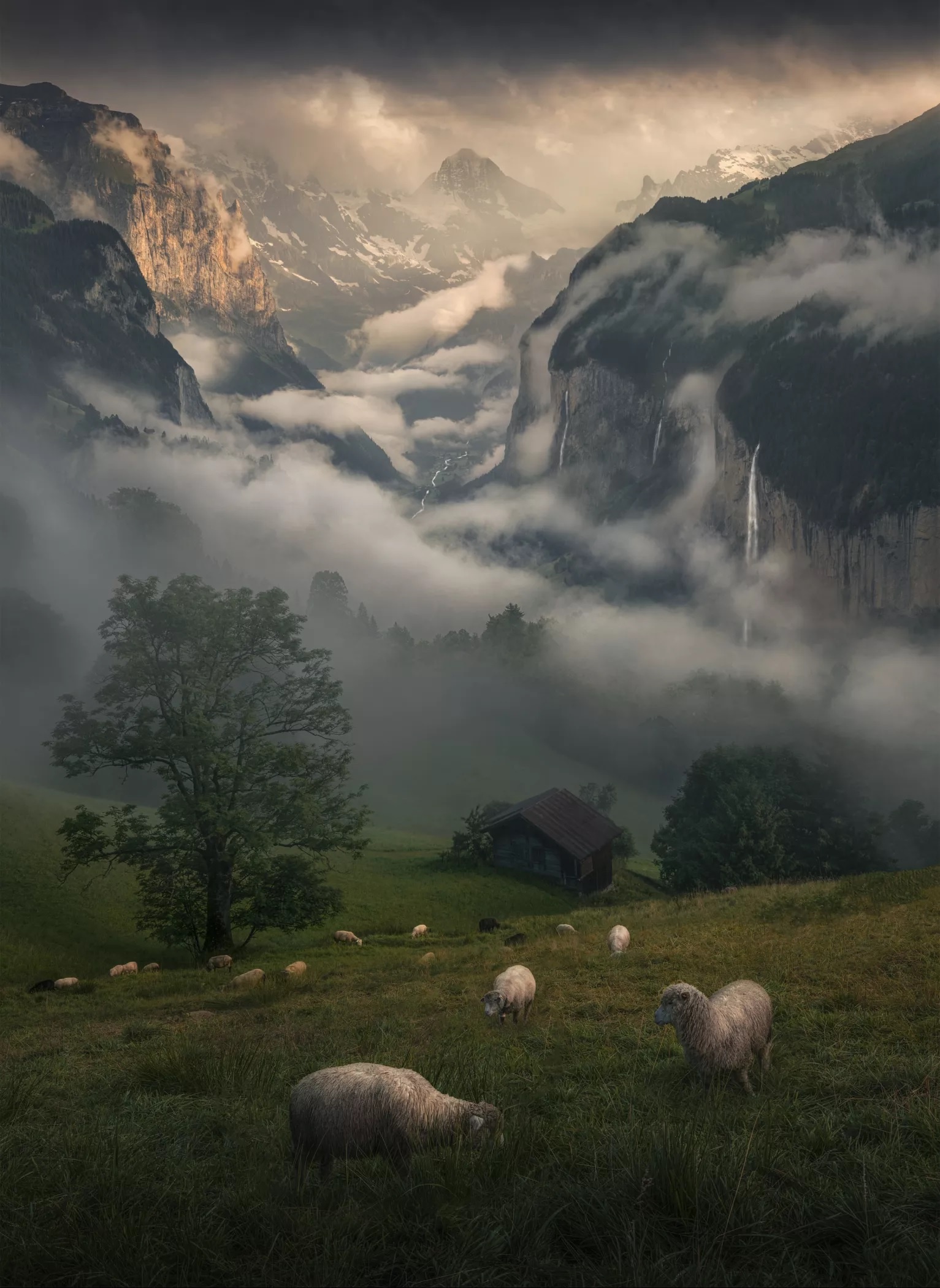 International Landscape Photographer of the Year ảnh 3 International Landscape Photographer of the Year anh 3