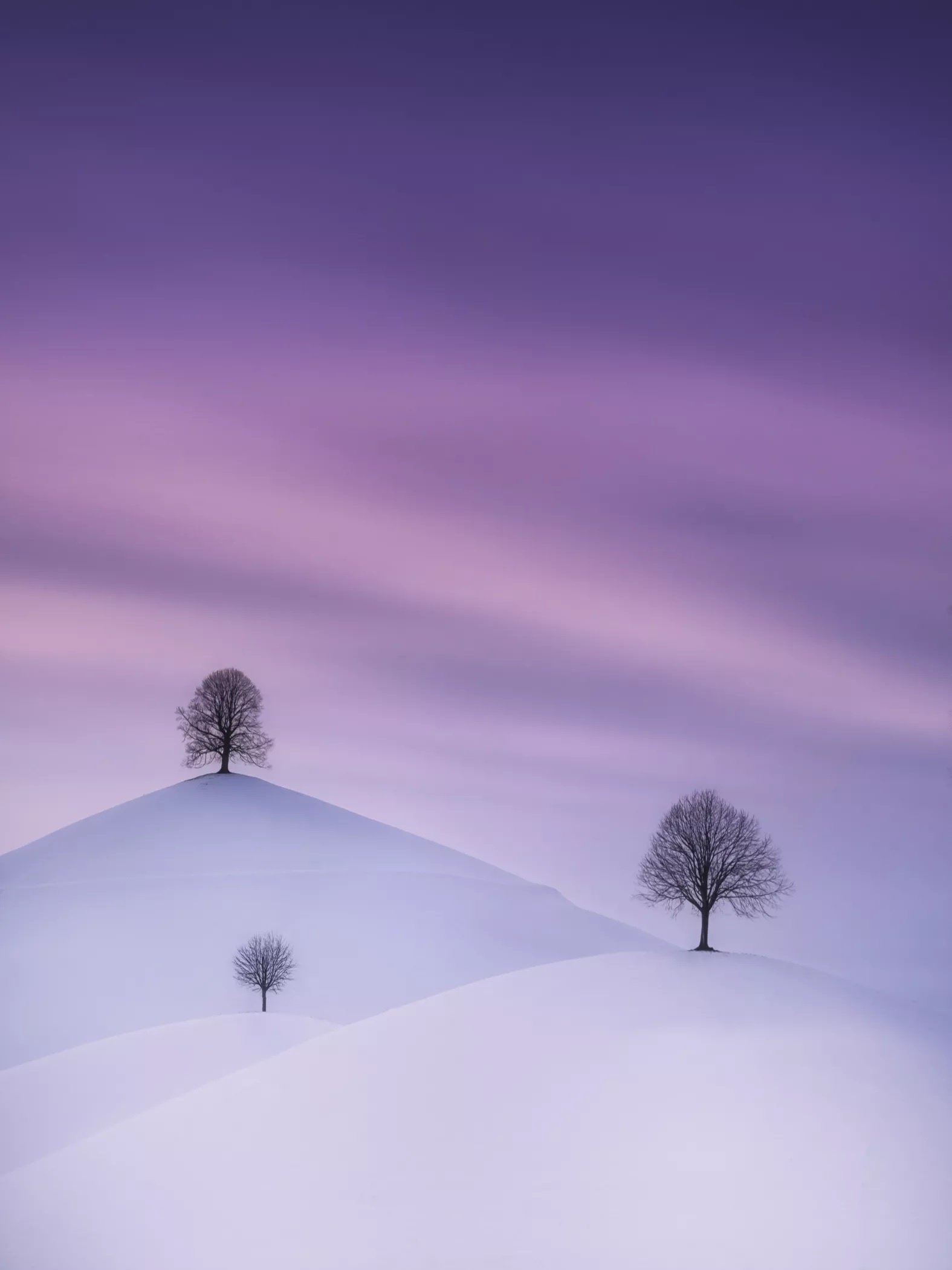 International Landscape Photographer of the Year ảnh 8 International Landscape Photographer of the Year anh 8