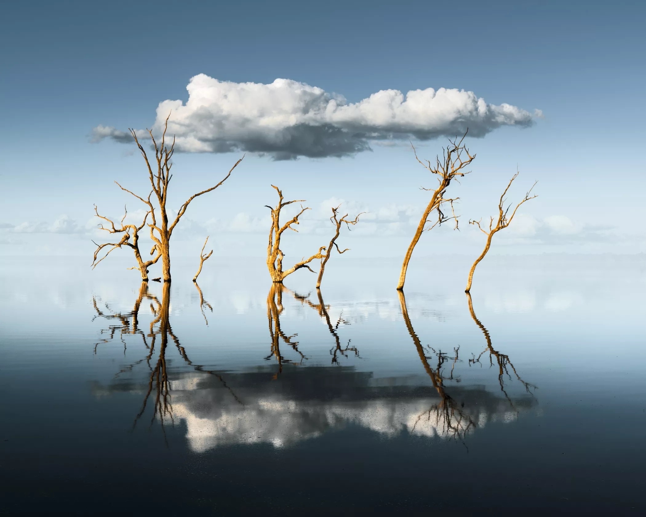 International Landscape Photographer of the Year ảnh 9 International Landscape Photographer of the Year anh 9