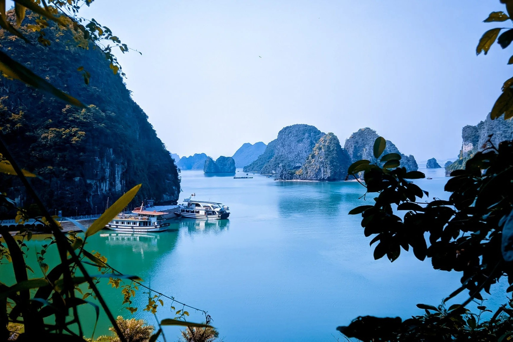 Tro lai Ha Long sau nhung lan lo hen hinh anh