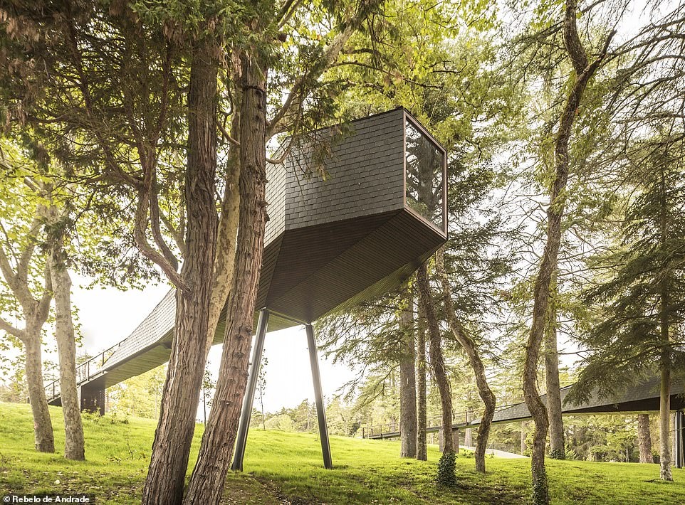 Nhung ngoi nha tren cay doc dao anh 2