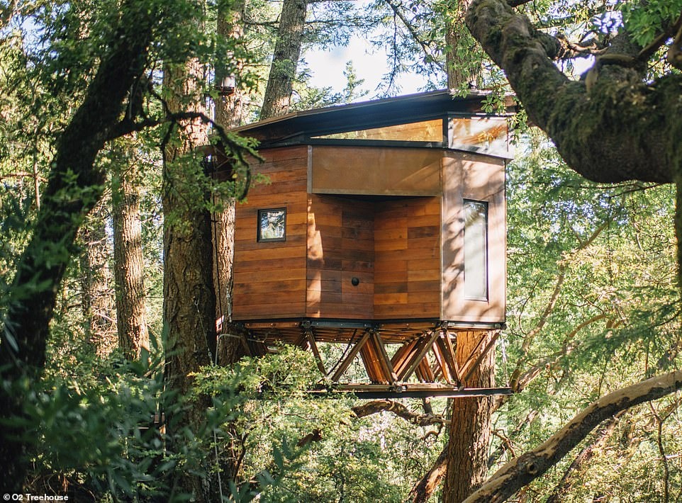 Nhung ngoi nha tren cay doc dao anh 4