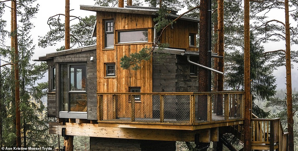 Nhung ngoi nha tren cay doc dao anh 6