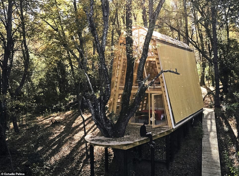 Nhung ngoi nha tren cay doc dao anh 8