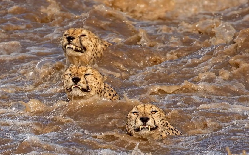 Bao boi song, hai cau san canh cut vao top anh thien nhien cua nam hinh anh