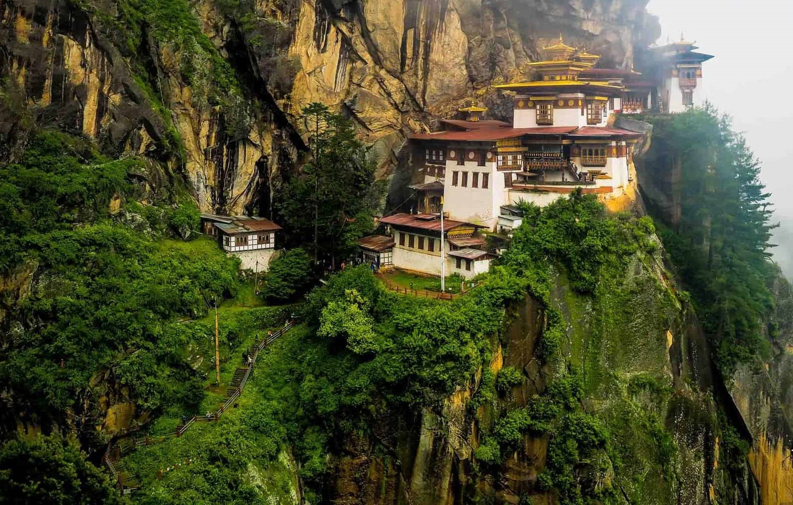 Ngam hoa anh dao no o Nhat Ban anh 6