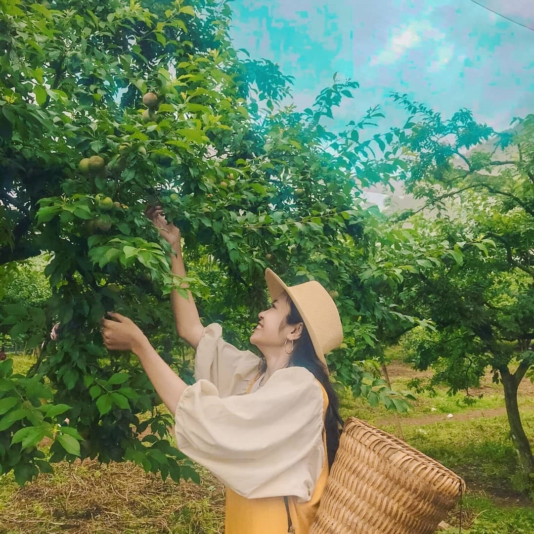 tháng 4 nên đi du lịch ở đâu? ảnh 3 thang 4 nen di du lich o dau? anh 3