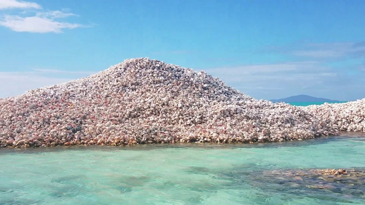 Quan dao Virgin anh 2