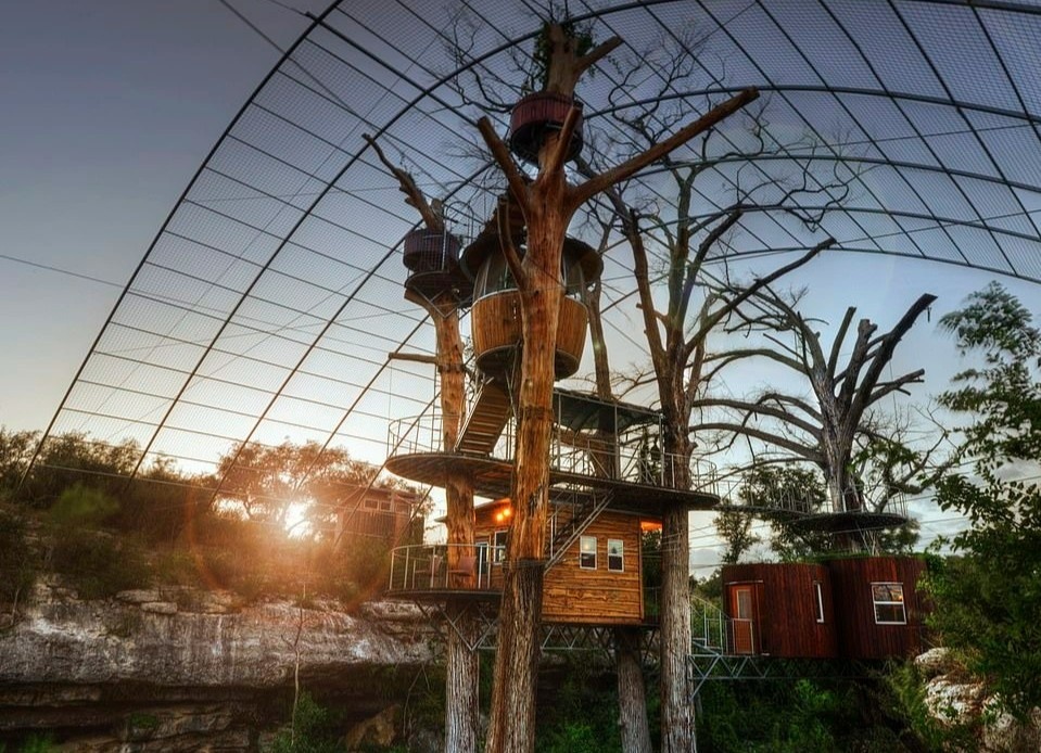 Nhung ngoi nha tren cay doc dao khap the gioi hinh anh